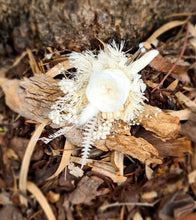 Load image into Gallery viewer, X - Grooms buttonhole mini preserved peony
